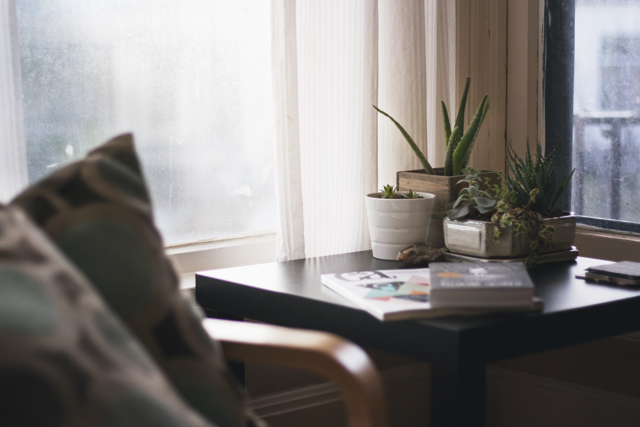 Cozy Home Interior with Succulents